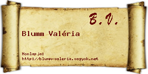 Blumm Valéria névjegykártya